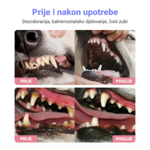 Alternative view of DENTAL SPREJ ZA LJUBIMCE 1+1 BESPLATNO